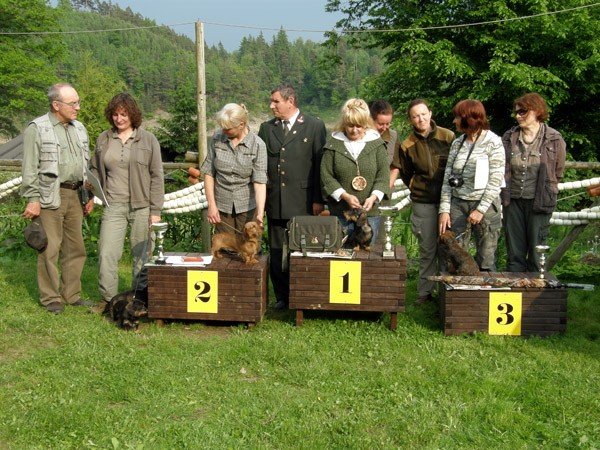 z-jamnikiem-kroliczym-na-tropie-28040