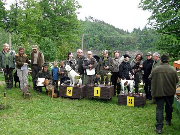 z-jamnikiem-kroliczym-na-tropie-28040