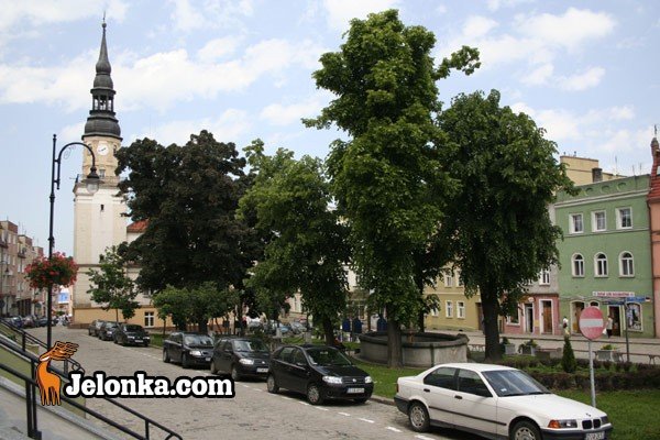 miodowa-feta-w-cieniu-ruin-warowni-28144