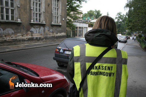 oddalajace-sie-parkomaty-28281