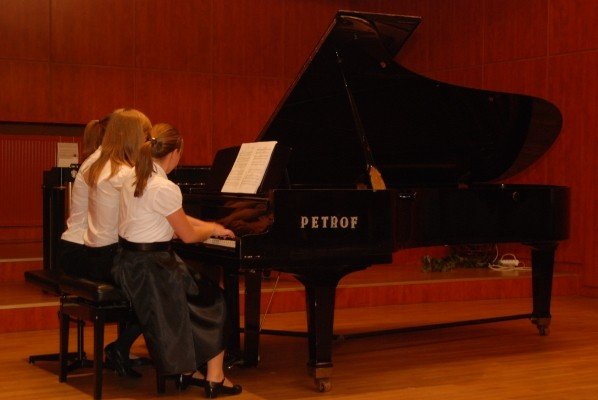 z-muzyka-i-czerwona-roza-do-lata-28357