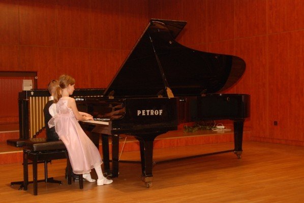 z-muzyka-i-czerwona-roza-do-lata-28357