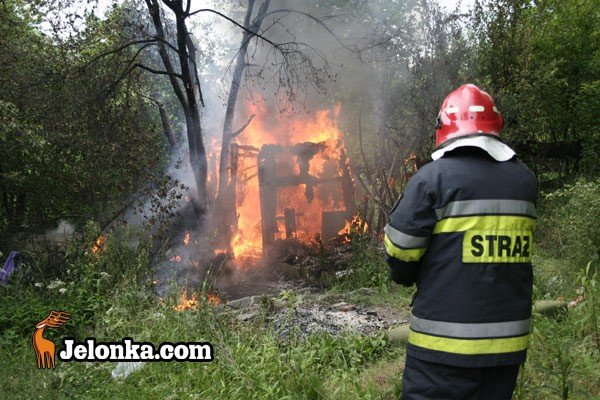 od-ogniska-do-pozaru-28383