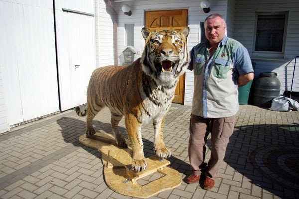 w-wypchanym-zoo-28418