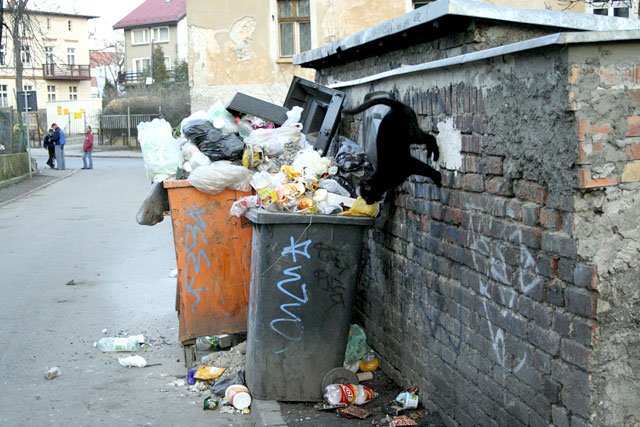 Takich obrazków w Jeleniej Górze na pewno jest więcej.