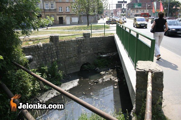 zmienia-paskudne-oblicze-mynowki-28563
