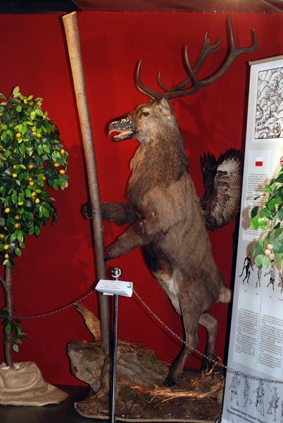 duch-gor-i-tygrys-na-wyciagniecie-reki-28581