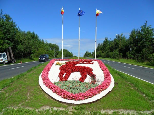 niszcza-klomby-depcza-rabaty-28640