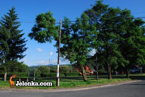 przyjemniejsza-rekreacja-pod-chojnikiem-28641