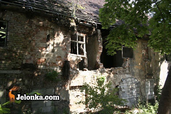 zyjemy-posrod-ruin-28703