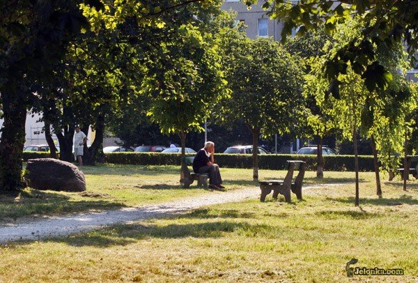 upalne-zniwo-czyli-cencie-cien-28729