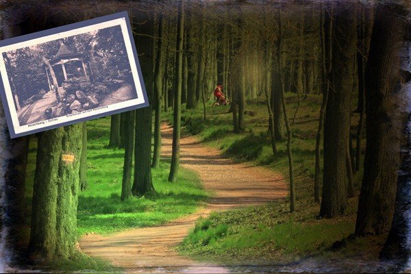 park-na-wzgorzu-kosciuszki-do-przebudowy-28760