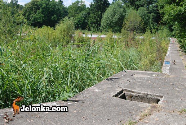 zrujnowane-baseny-bez-perspektyw-28804