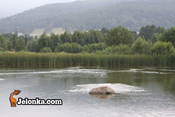podgorzyn-aktywnie-wypromuje-gmine-28850