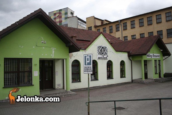 zofia-czernow-oddaa-stery-aniluxu-28869