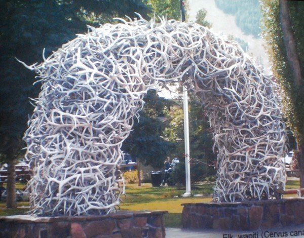 mormoni-czcza-naszego-papieza-28896