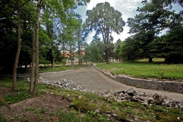 park-zdrojowy-poslizg-i-przyspieszenie-28932