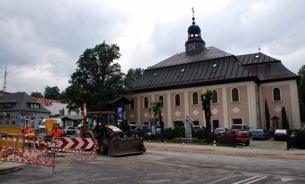 rosnie-biedronka-w-sobieszowie-28944