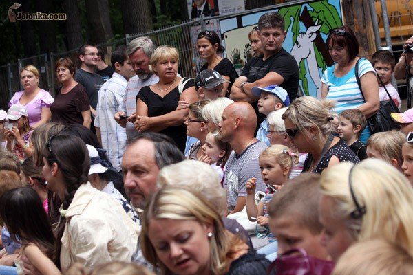 kozioek-matoek-podbi-serca-publicznosci-28952