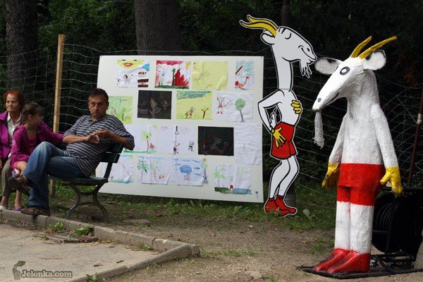kozioek-matoek-podbi-serca-publicznosci-28952