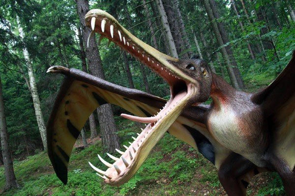 oko-w-oko-z-dinozaurem-i-mamutem-28954