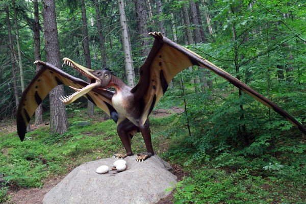 oko-w-oko-z-dinozaurem-i-mamutem-28954
