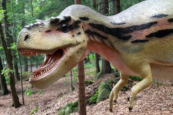oko-w-oko-z-dinozaurem-i-mamutem-28954