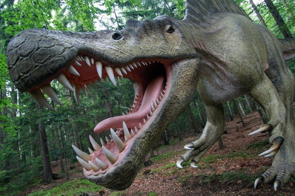 oko-w-oko-z-dinozaurem-i-mamutem-28954