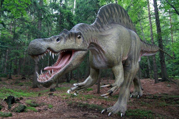oko-w-oko-z-dinozaurem-i-mamutem-28954