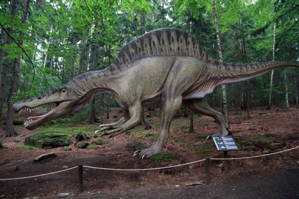 oko-w-oko-z-dinozaurem-i-mamutem-28954