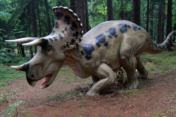 oko-w-oko-z-dinozaurem-i-mamutem-28954