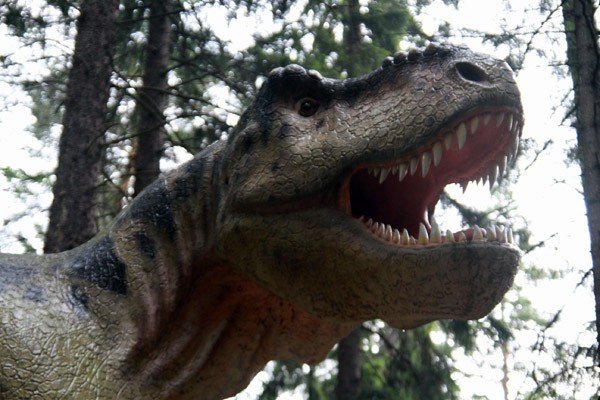 oko-w-oko-z-dinozaurem-i-mamutem-28954