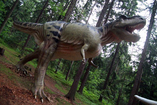 oko-w-oko-z-dinozaurem-i-mamutem-28954
