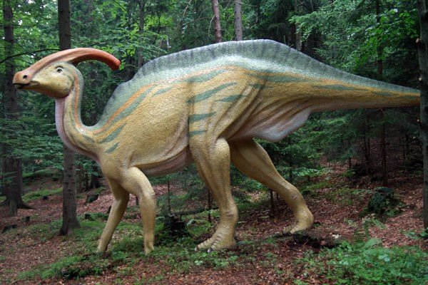 oko-w-oko-z-dinozaurem-i-mamutem-28954