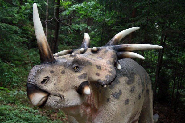 oko-w-oko-z-dinozaurem-i-mamutem-28954