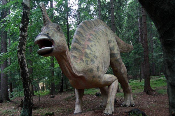 oko-w-oko-z-dinozaurem-i-mamutem-28954
