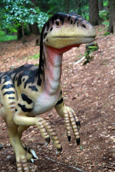 oko-w-oko-z-dinozaurem-i-mamutem-28954