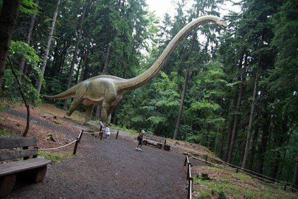 oko-w-oko-z-dinozaurem-i-mamutem-28954