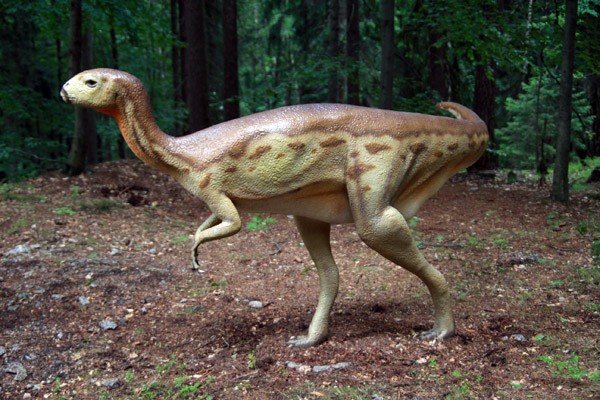 oko-w-oko-z-dinozaurem-i-mamutem-28954