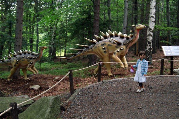 oko-w-oko-z-dinozaurem-i-mamutem-28954