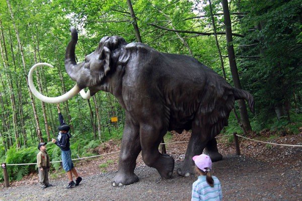 oko-w-oko-z-dinozaurem-i-mamutem-28954