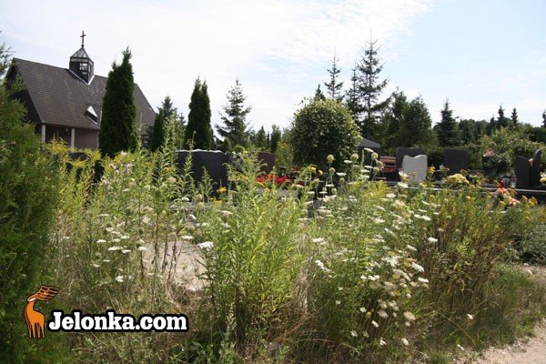 cmentarny-grzech-zaniedbania-28980