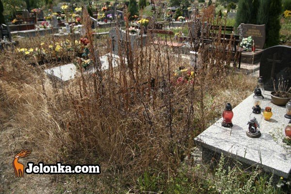 cmentarny-grzech-zaniedbania-28980