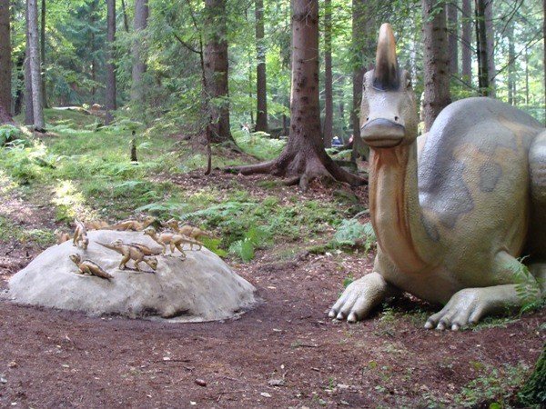 tumy-wsrod-dinozaurow-29017