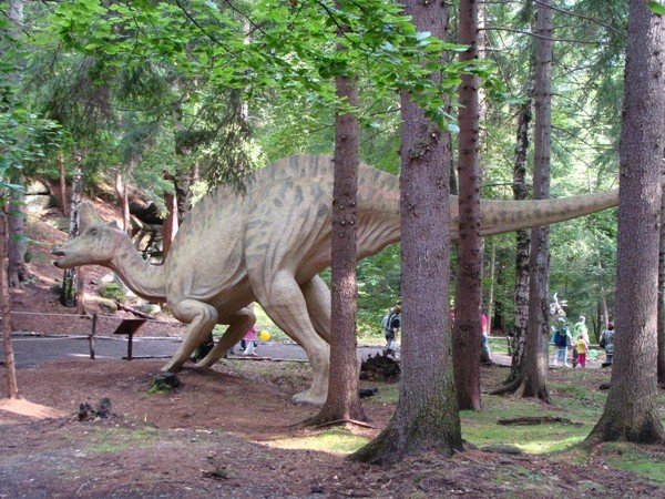 tumy-wsrod-dinozaurow-29017