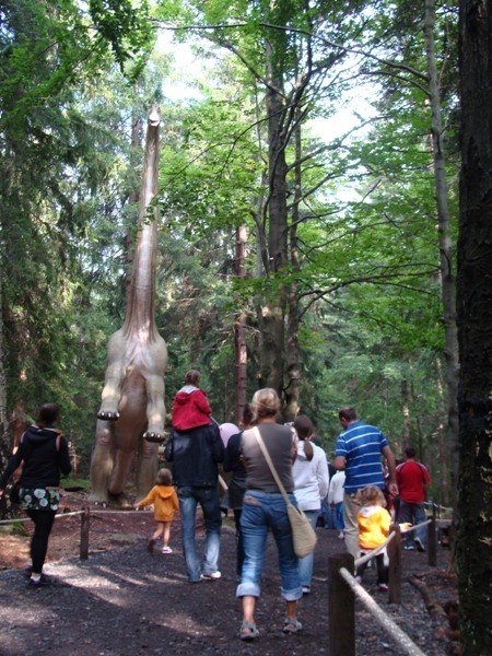 tumy-wsrod-dinozaurow-29017