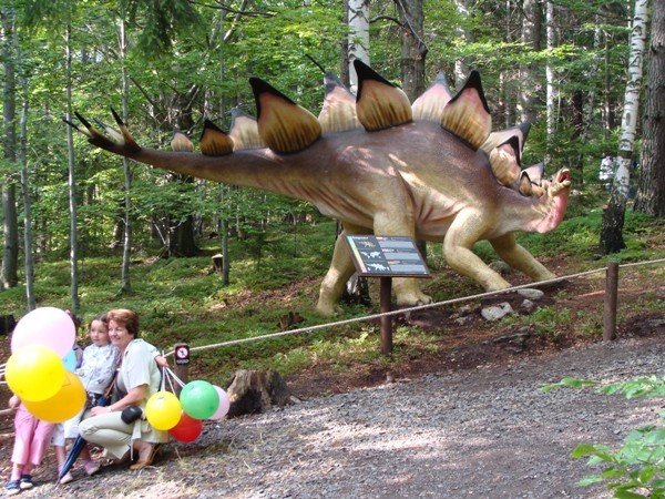 tumy-wsrod-dinozaurow-29017