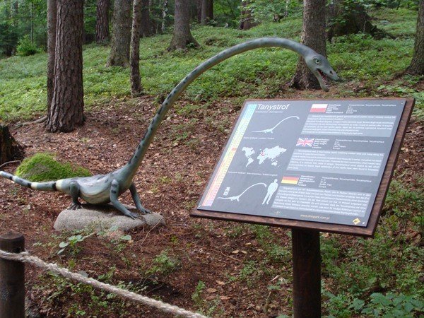 tumy-wsrod-dinozaurow-29017