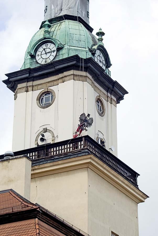 orze-sfruna-z-wiezy-ratusza-29085