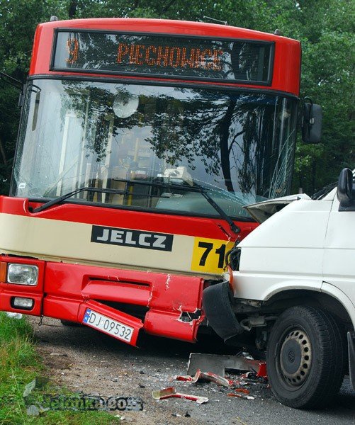 dziewiatka-i-bus-w-opaach-29160